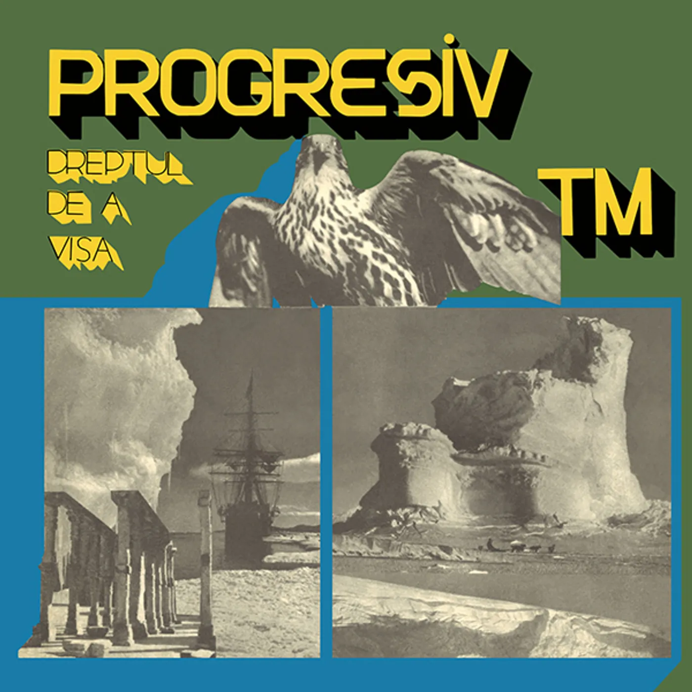 PROGRESIV TM Dreptul De A Visa Vinyl Record