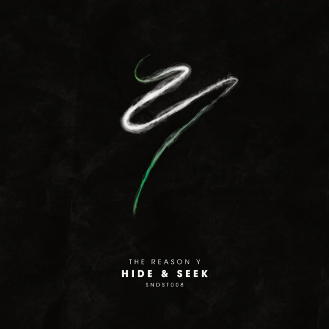 REASON Y Hide & Seek Vinyl Record