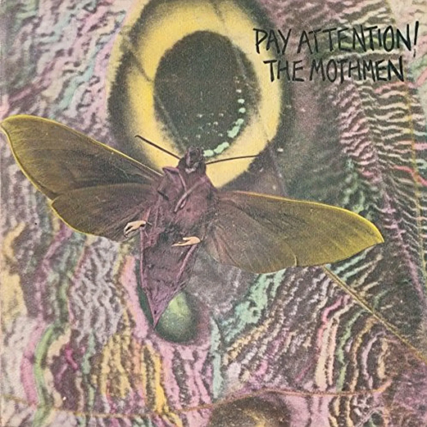 The Mothmen PAY ATTENTION CD