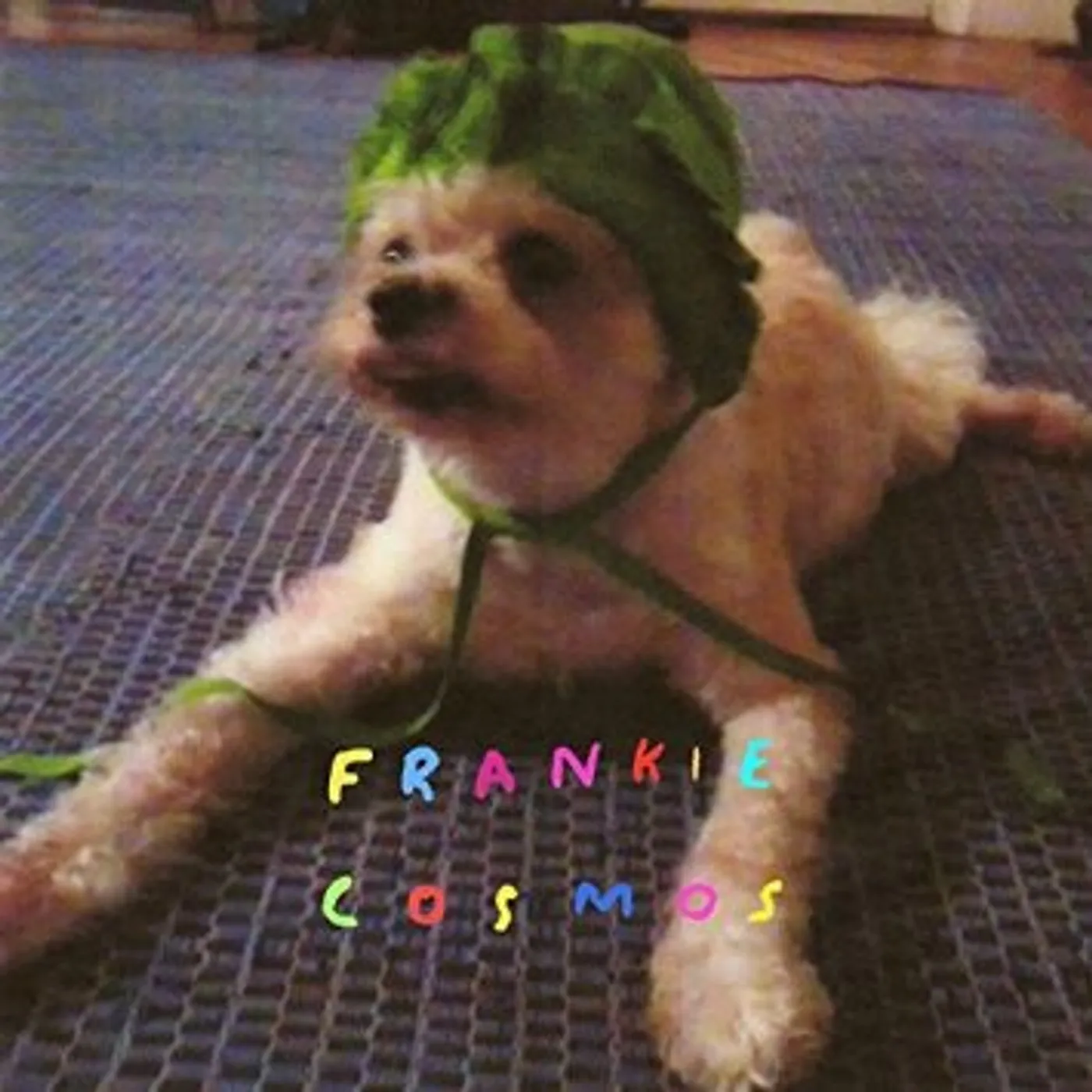 Frankie Cosmos ZENTROPY CD