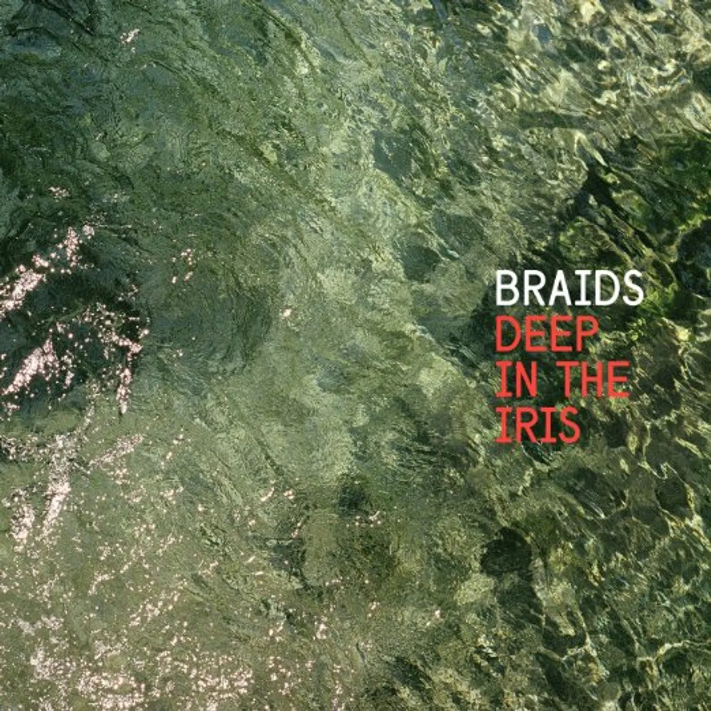 Braids Deep In The Iris Vinyl Record