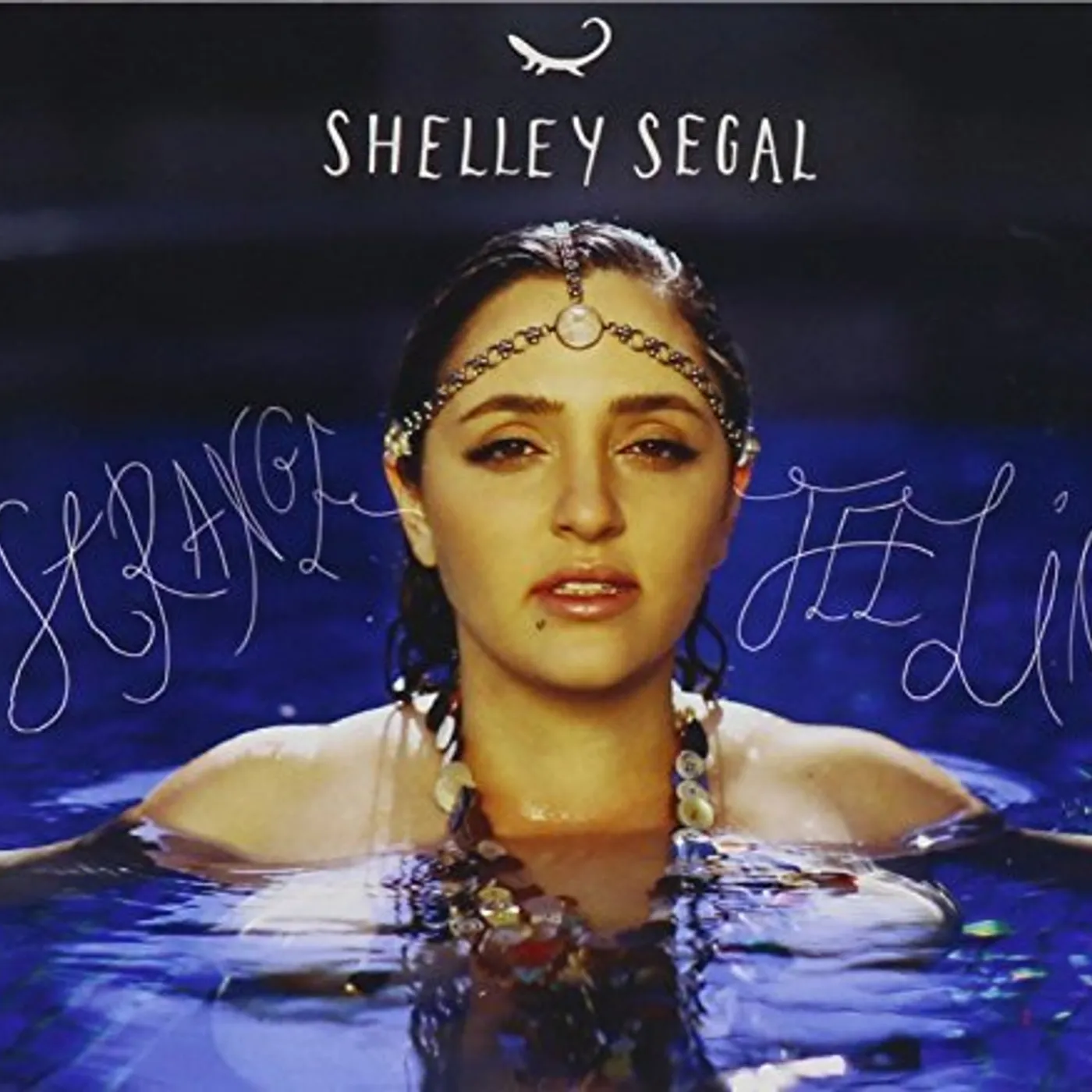 Shelley Segal STRANGE FEELING CD
