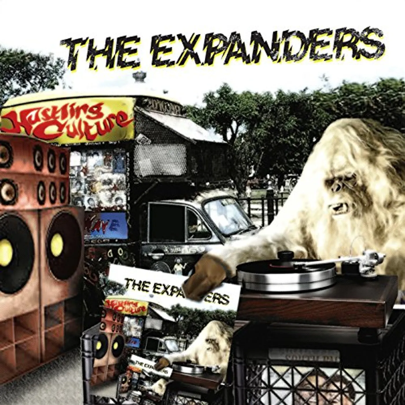 The Expanders Hustling Culture Vinyl Record