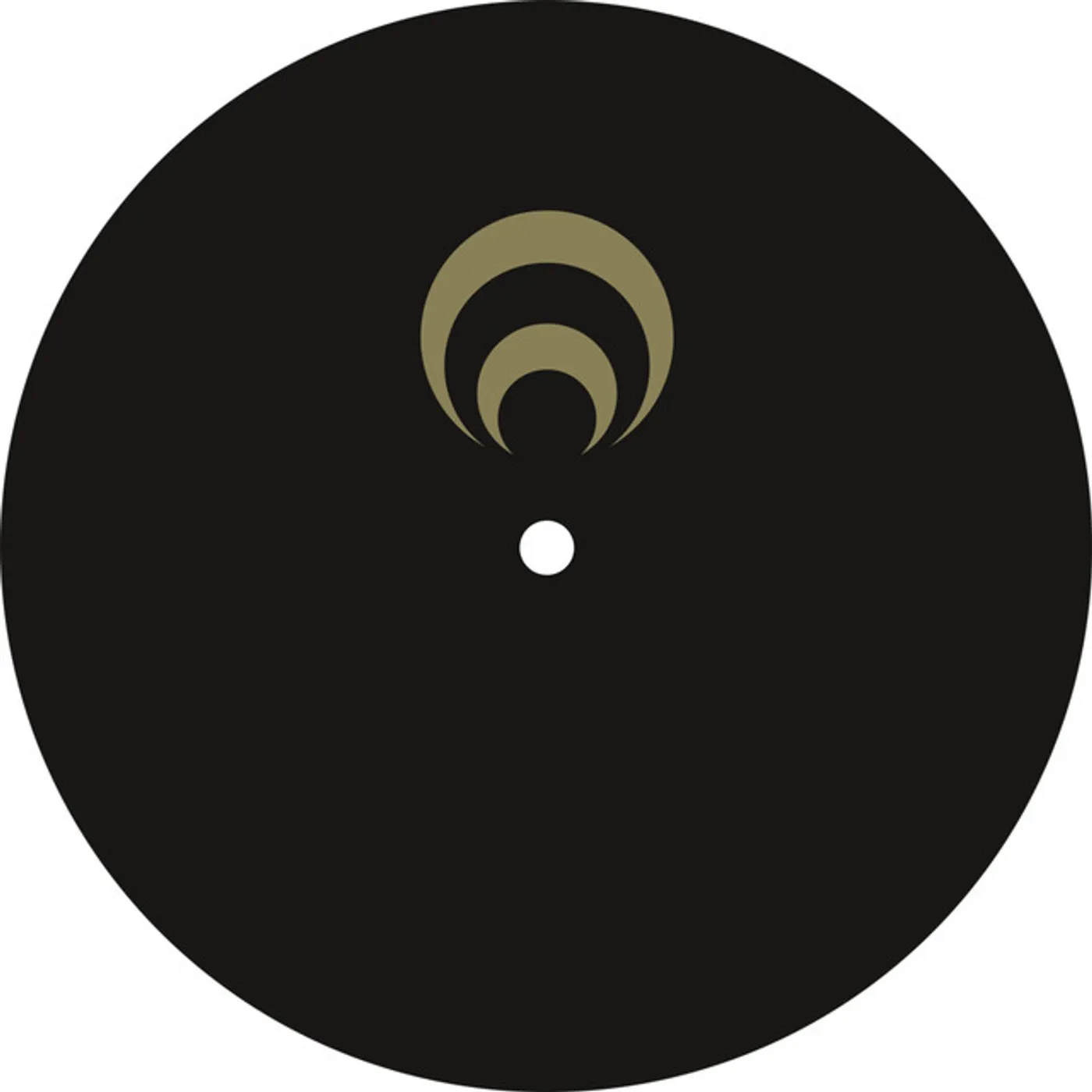 Mike Dehnert Check Vinyl Record