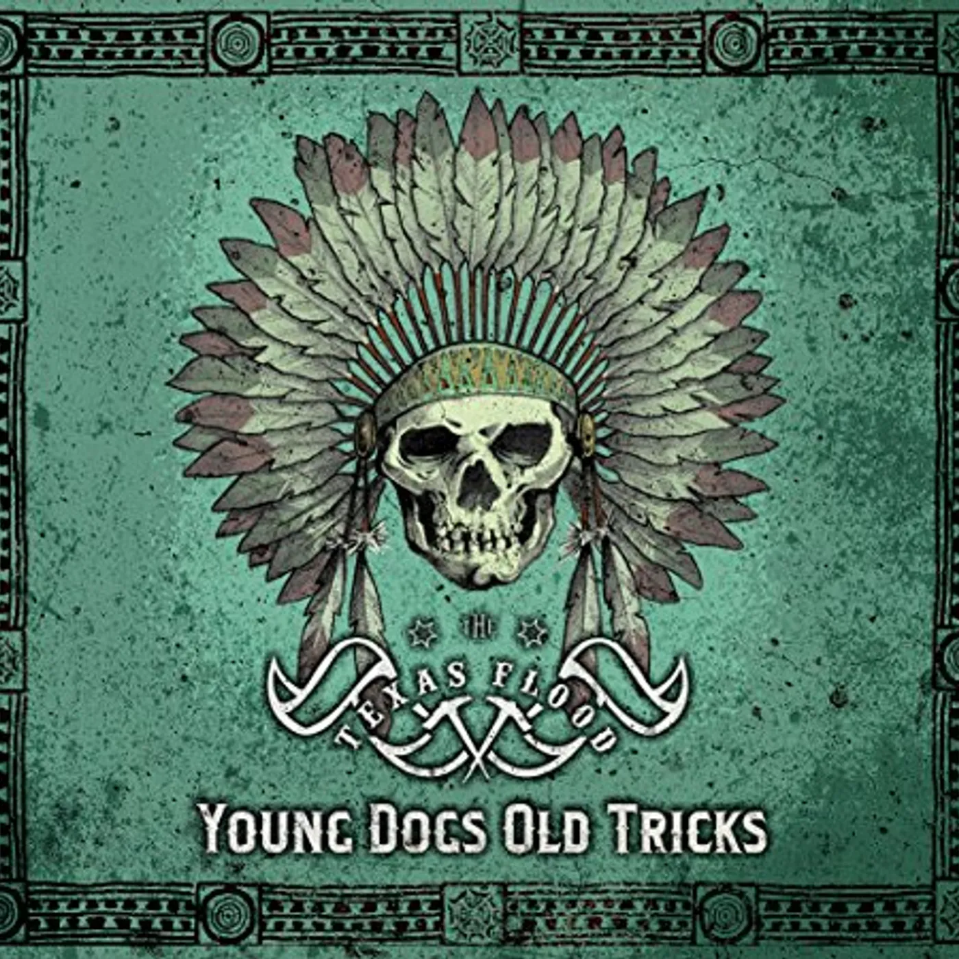 The Texas Flood YOUNG DOGS OLD TRICKS CD