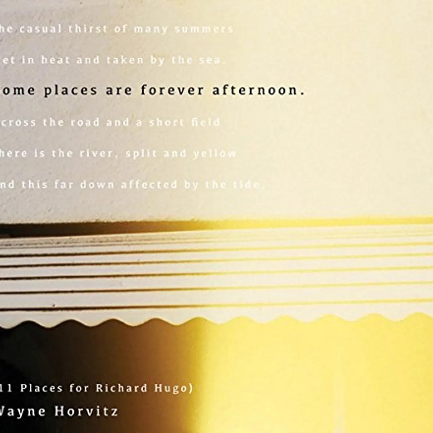 Wayne Horvitz SOME PLACES ARE FOREVER AFTERNOON (11 PLACES FOR) CD