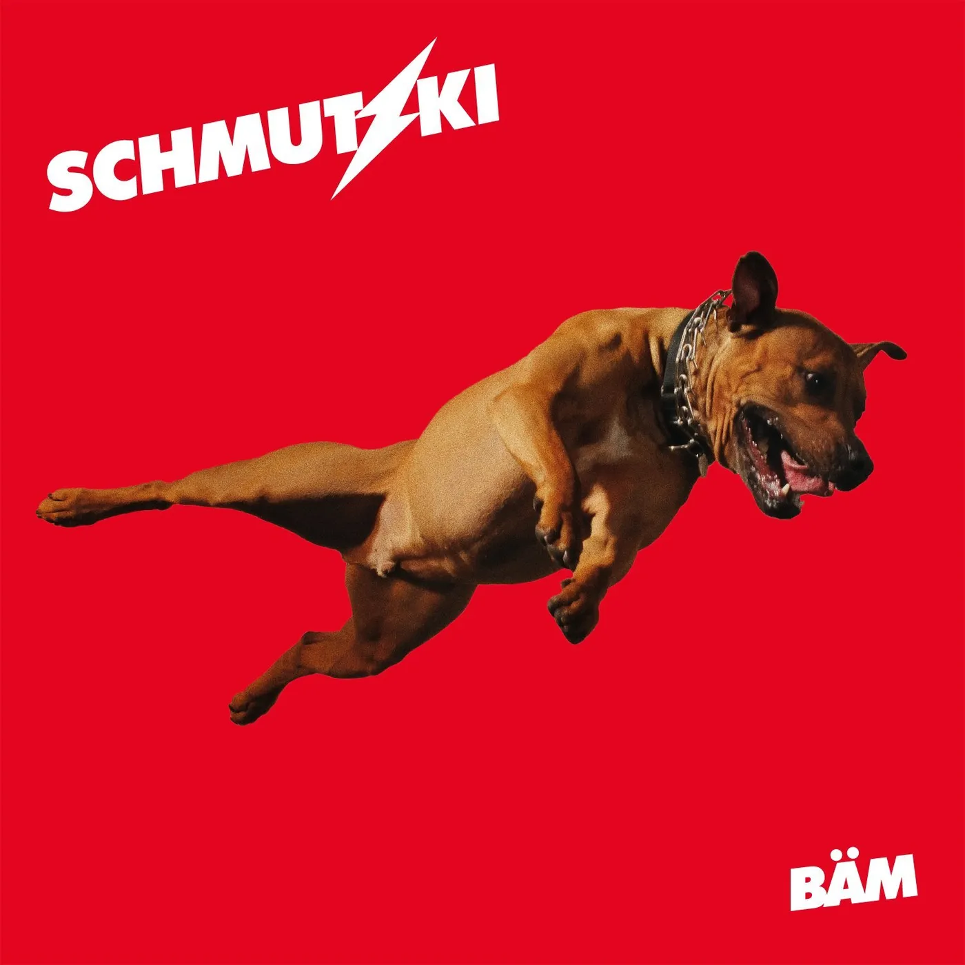 Schmutzki BAM Vinyl Record
