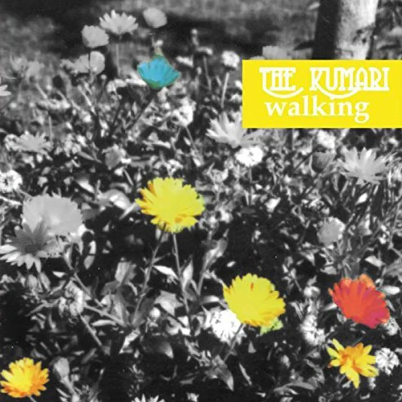 Kumari WALKING Vinyl Record - UK Release