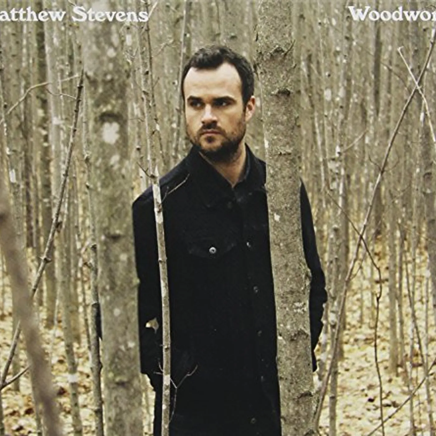 Matthew Stevens WOODWORK CD