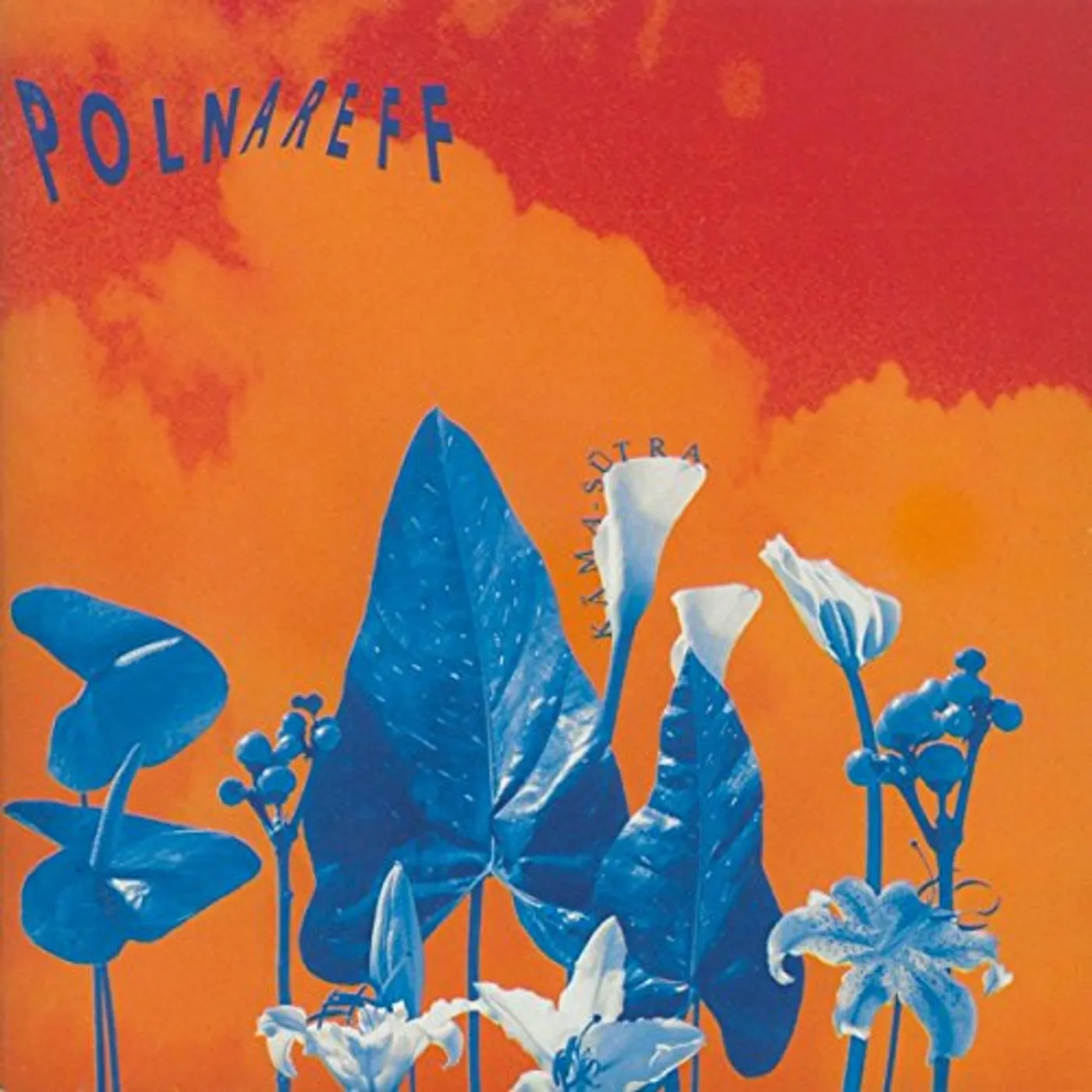 Michel Polnareff KAMA SUTRA CD