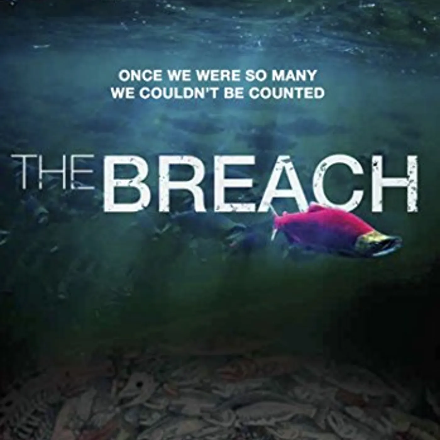 Breach DVD