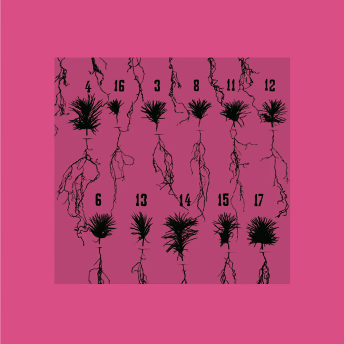 Thomalla Imaginary Solutions Vinyl Record