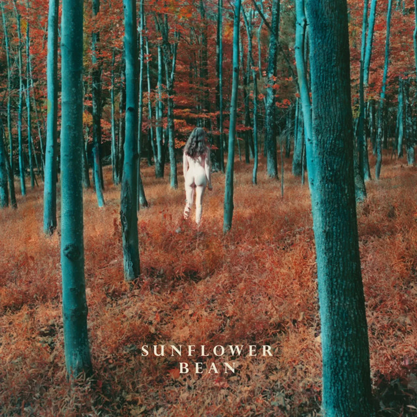 Sunflower Bean I Hear Voices / The Stalker Vinyl Record