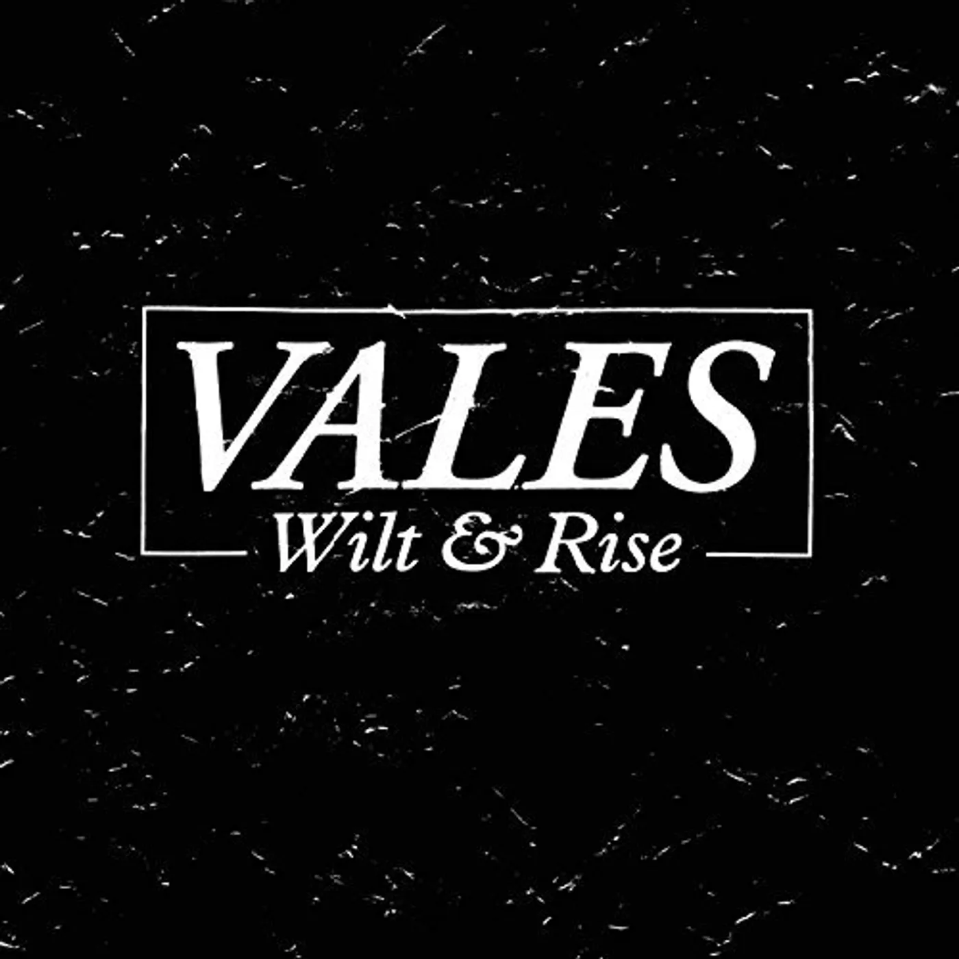 Vales WILT & RISE CD