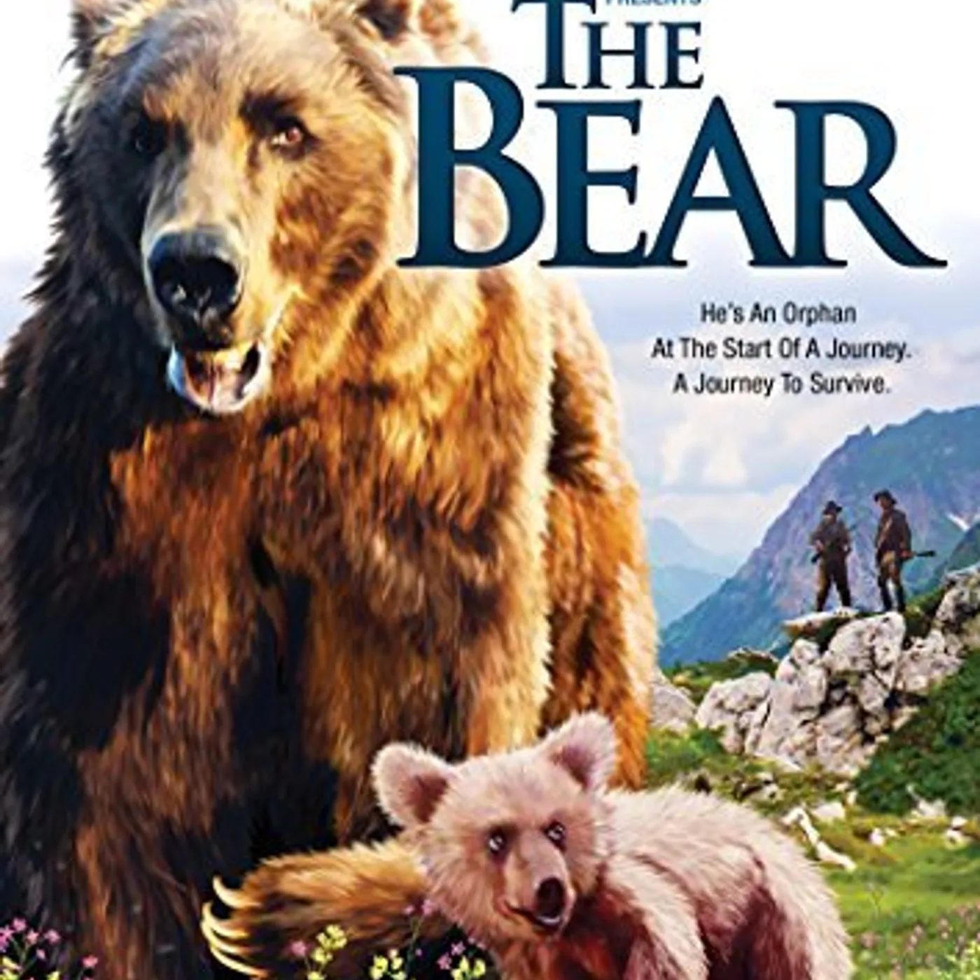 The Bear. BEAR DVD