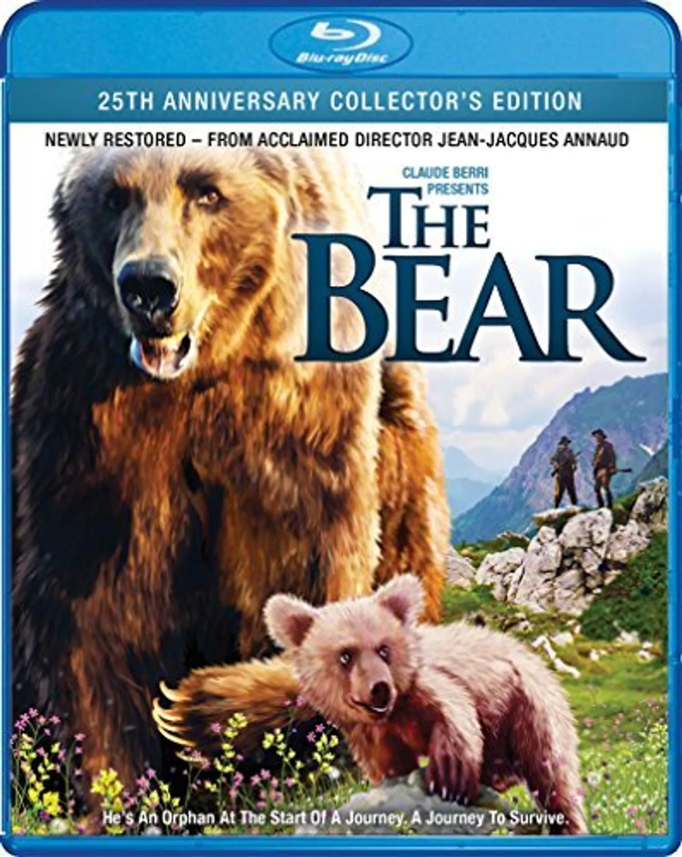 The Bear.