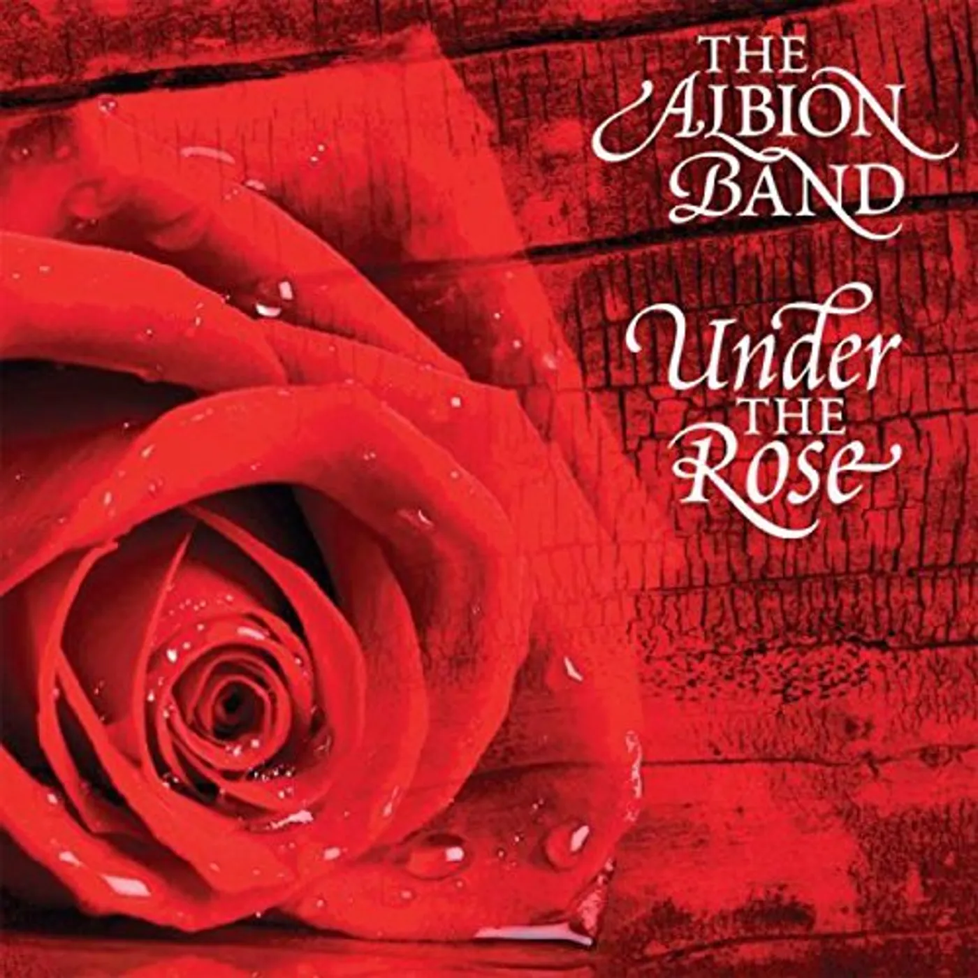 The Albion Band UNDER THE ROSE CD