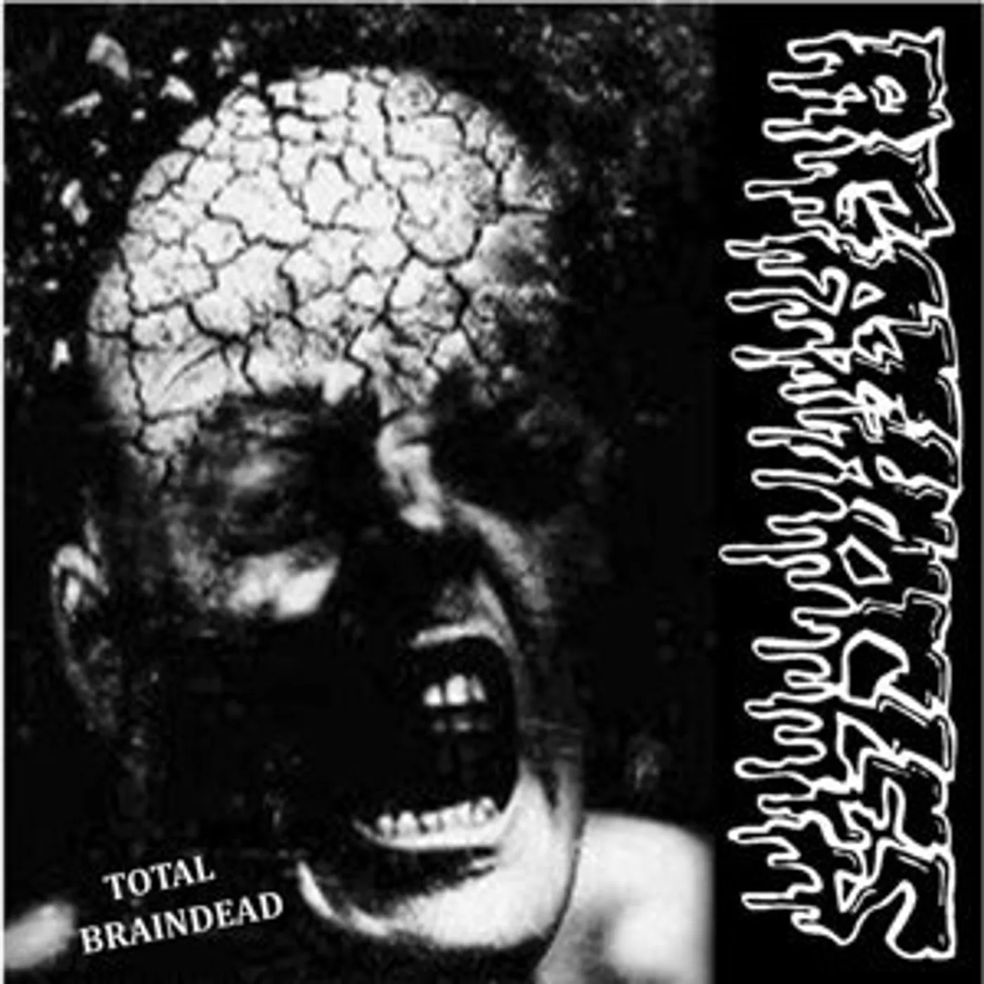 DISORDER / AGATHOCLES SPLIT Vinyl Record
