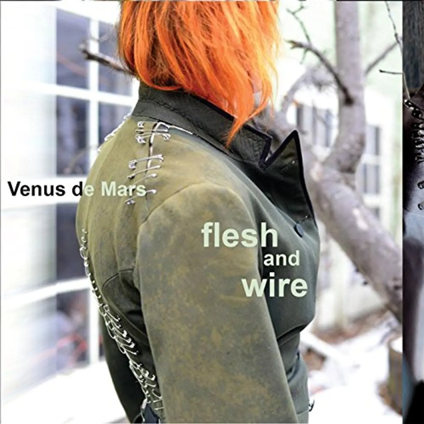 Venus De Mars FLESH & WIRE CD