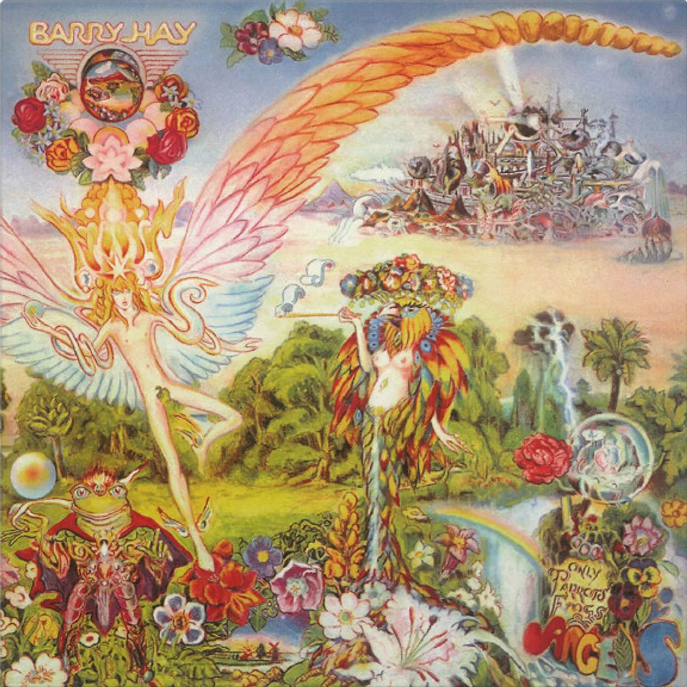 Barry Hay ONLY PARROTS FROGS & ANGELS Vinyl Record
