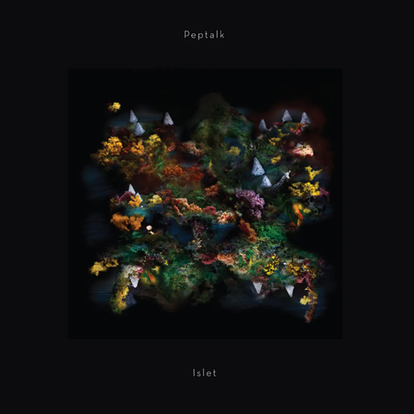 Peptalk Islet Vinyl Record