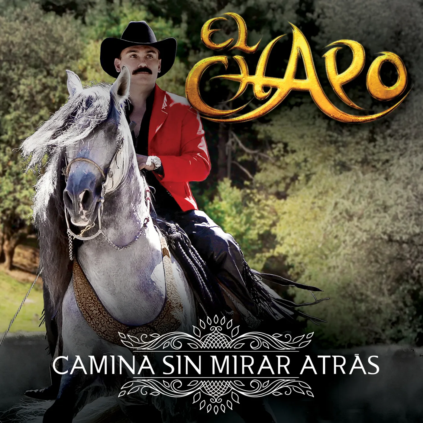 CHAPO DE SINALOA CAMINA SIN MIRAR ATRAS CD