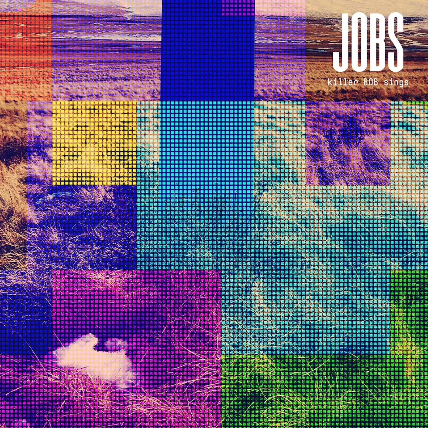 JOBS killer BOB sings Vinyl Record