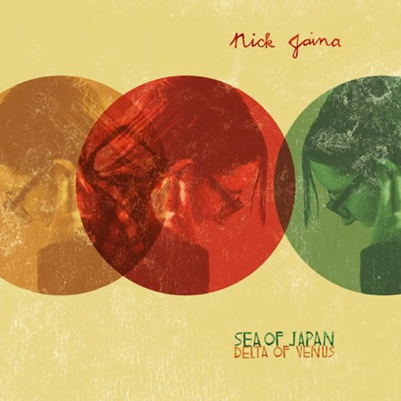 Nick Jaina Sea of Japan Vinyl Record