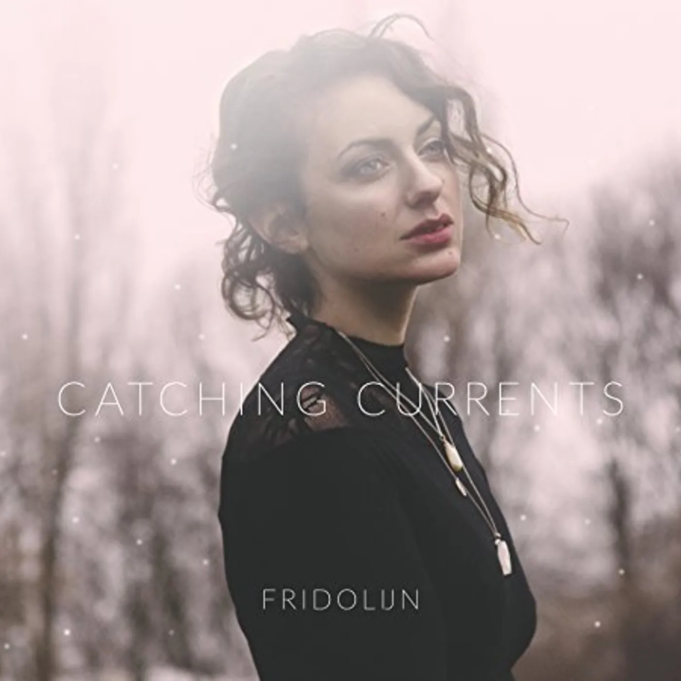 Fridolijn CATCHING THE CURRENT CD
