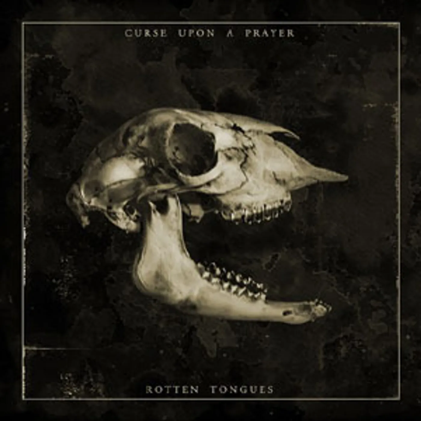 Curse Upon A Prayer ROTTEN TONGUES CD