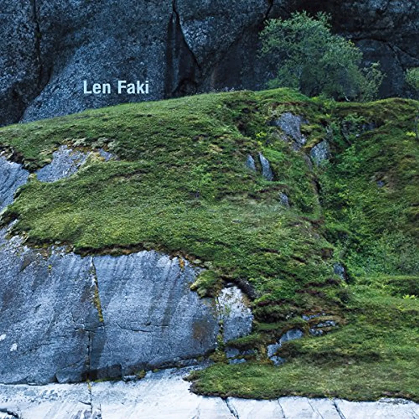 Len Faki BASEMENT TRAX 2 Vinyl Record