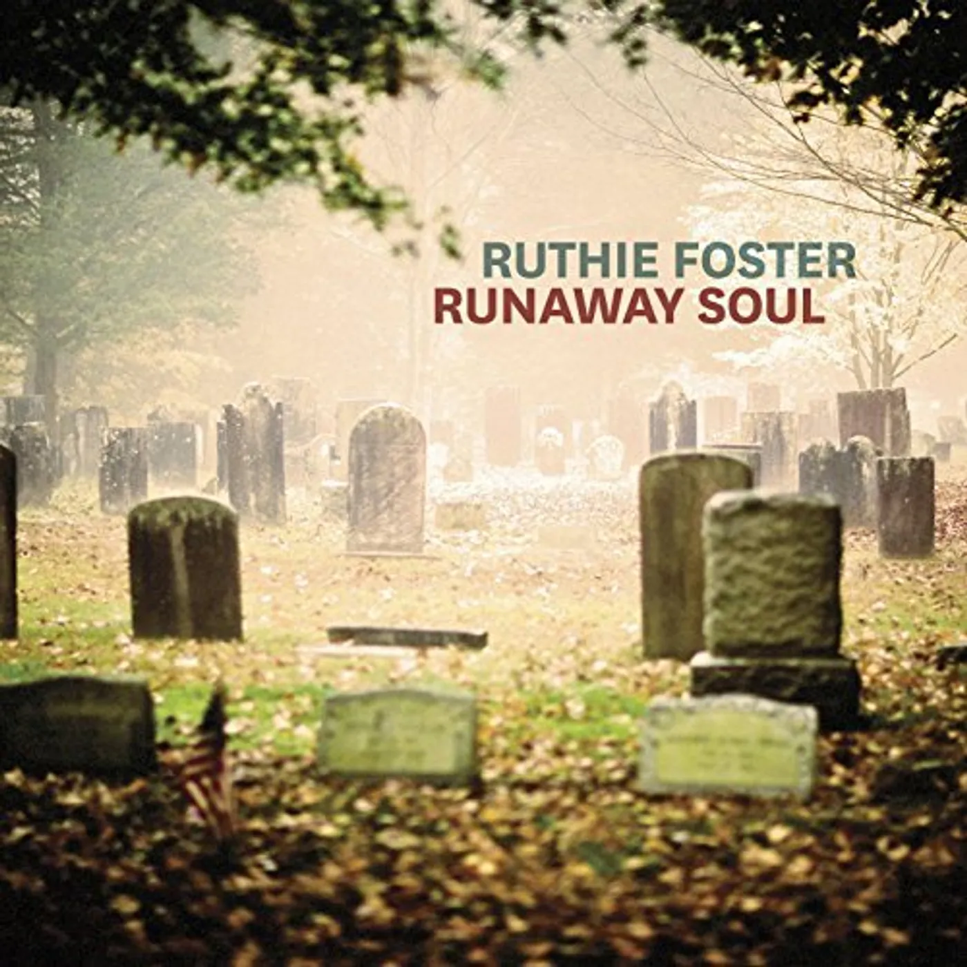Ruthie Foster RUNAWAY SOUL CD