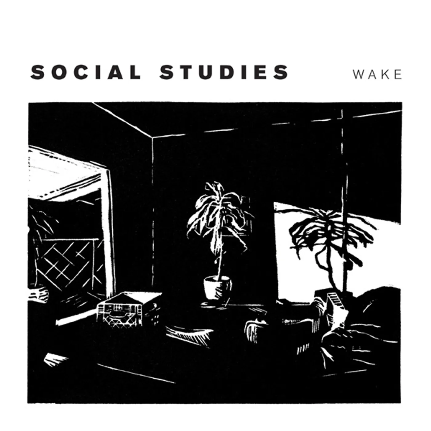 Social Studies Wake Vinyl Record