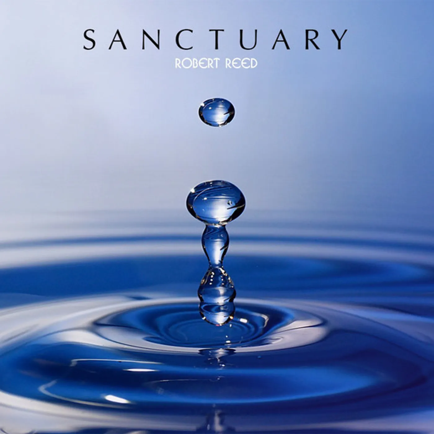 Robert Reed Sanctuary Vinyl Record