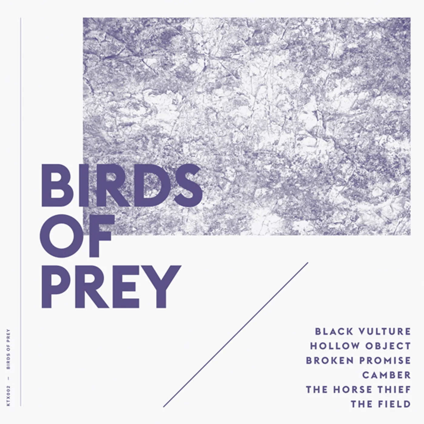 Birds Of Prey Vinyl Record