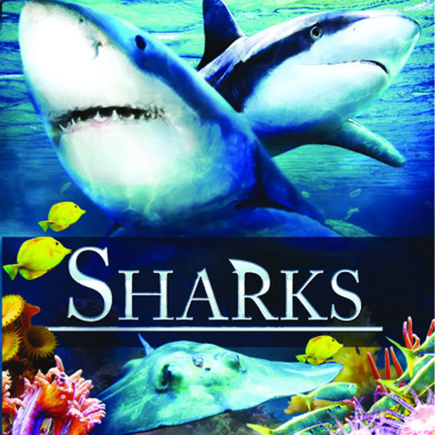 SHARKS DVD