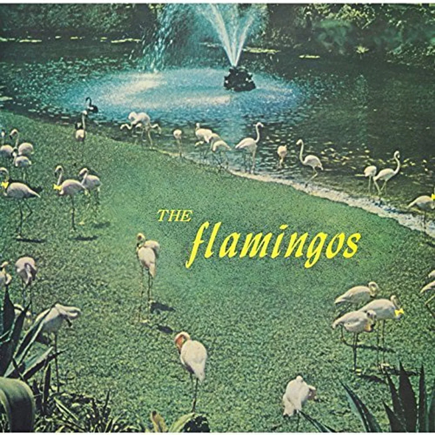 The Flamingos CD