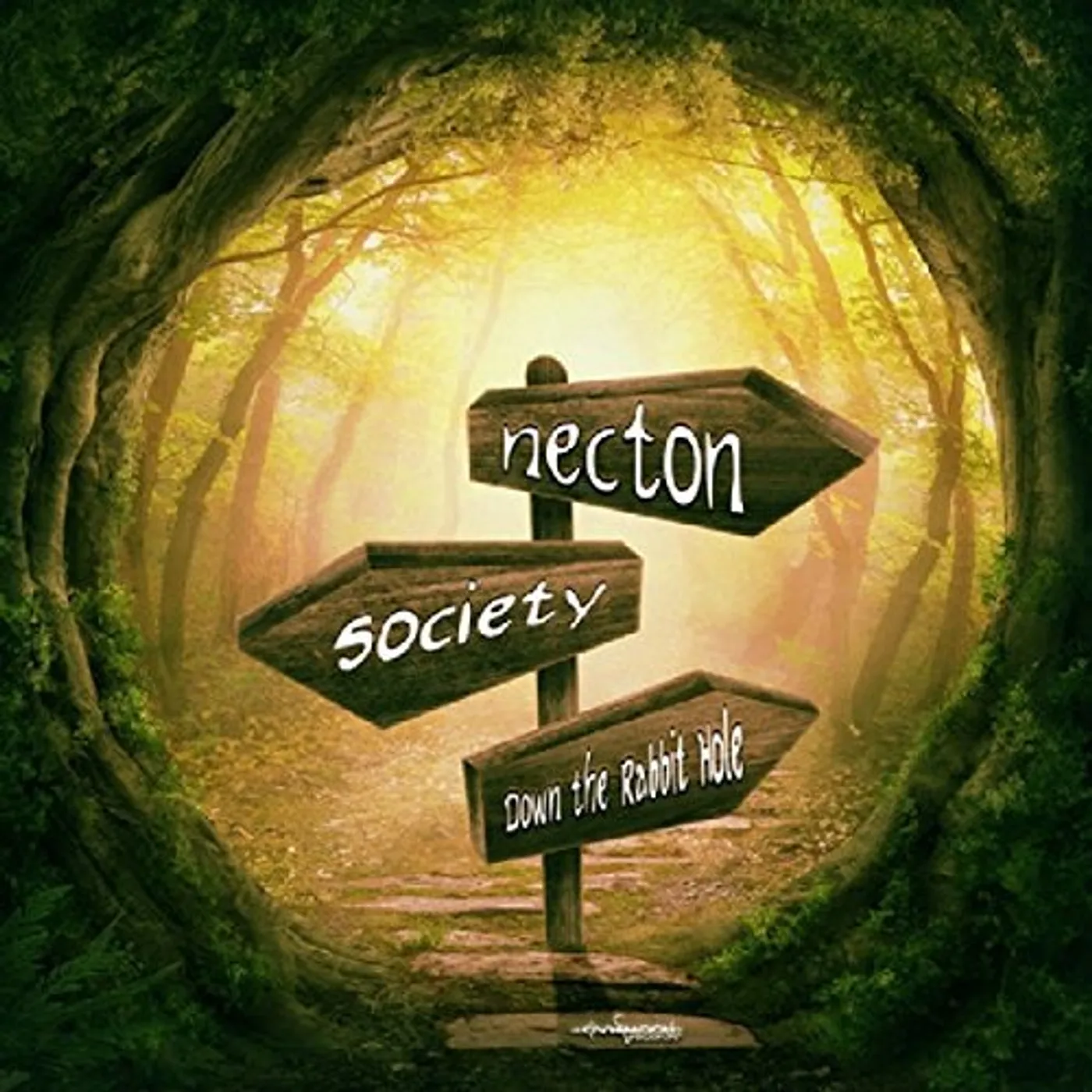 Necton DOWN THE RABBIT HOLE CD