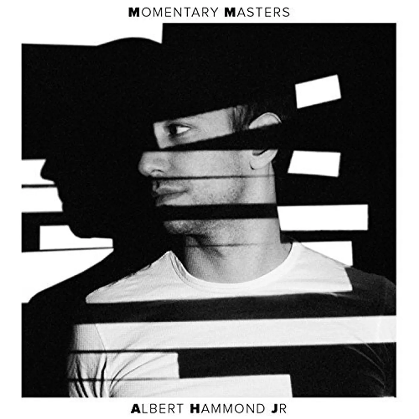 Albert Hammond Jr MOMENTARY MASTERS CD