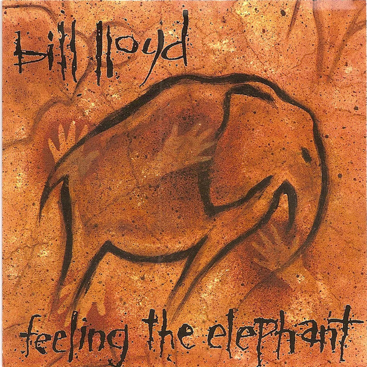 Bill Lloyd Feeling The Elephant Vinyl Record