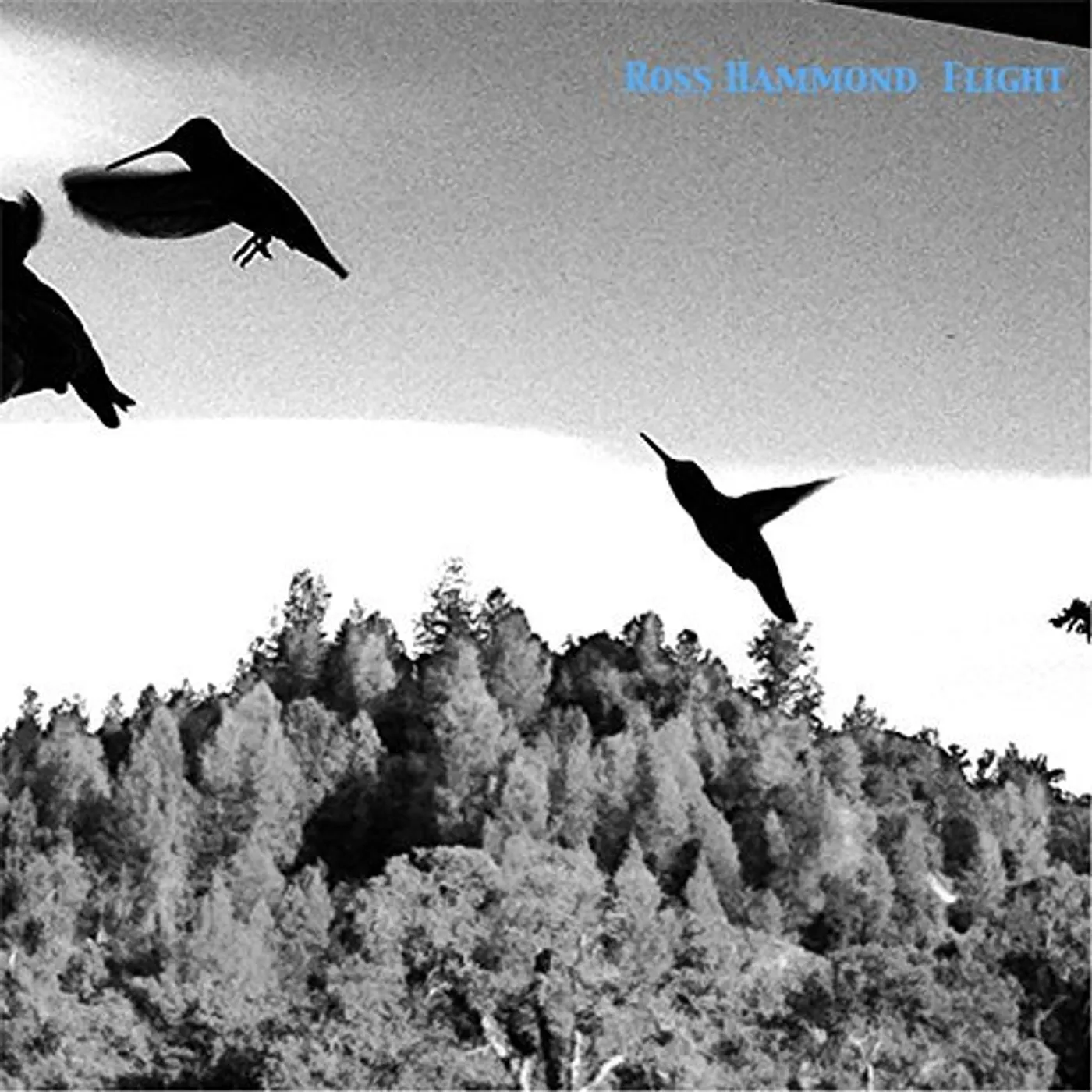 Ross Hammond FLIGHT CD