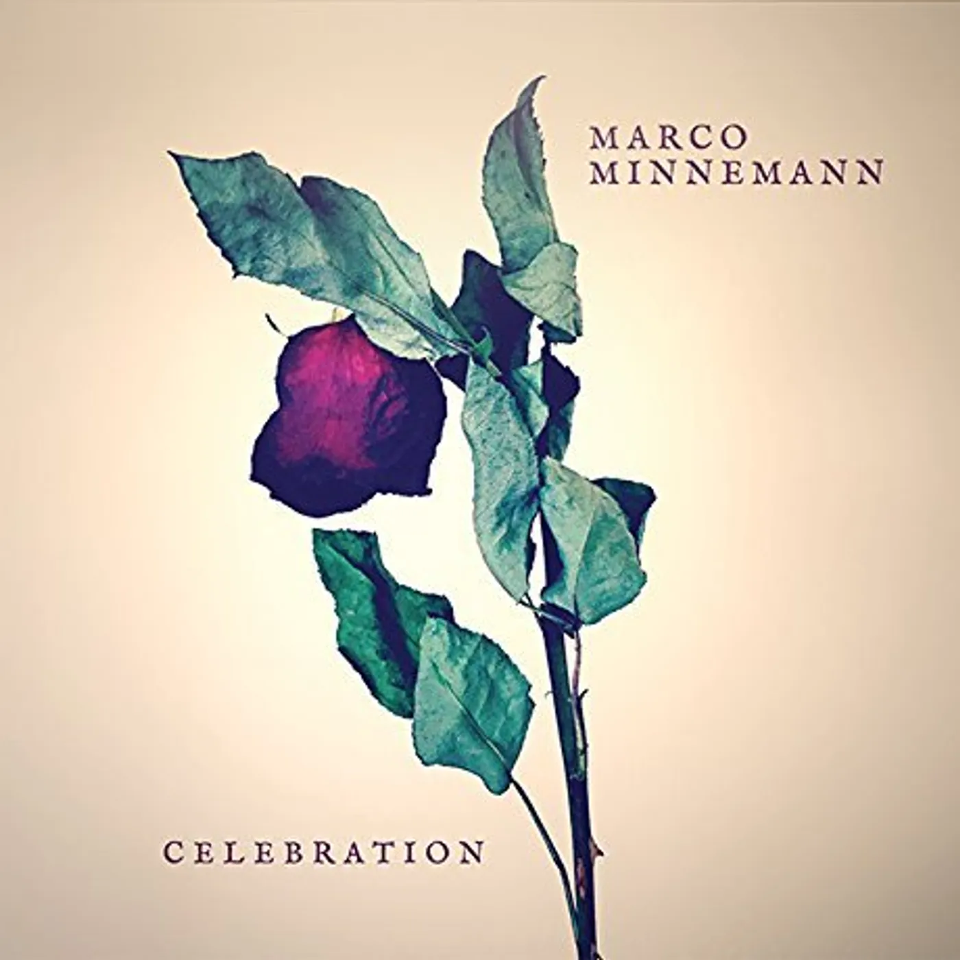 Marco Minnemann CELEBRATION CD