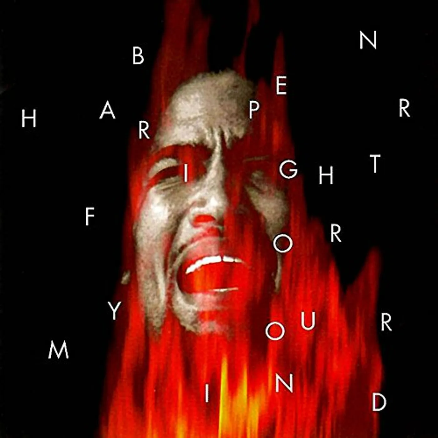 Ben Harper ‎– Fight For Your Mind レコード