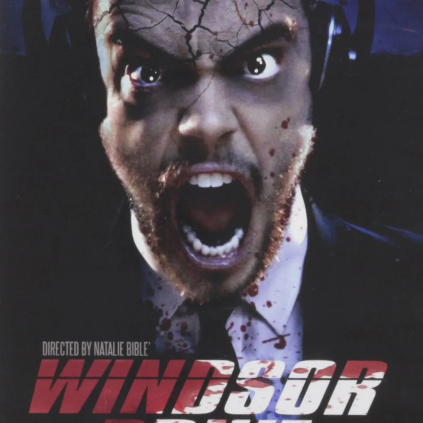 WINDSOR DRIVE DVD