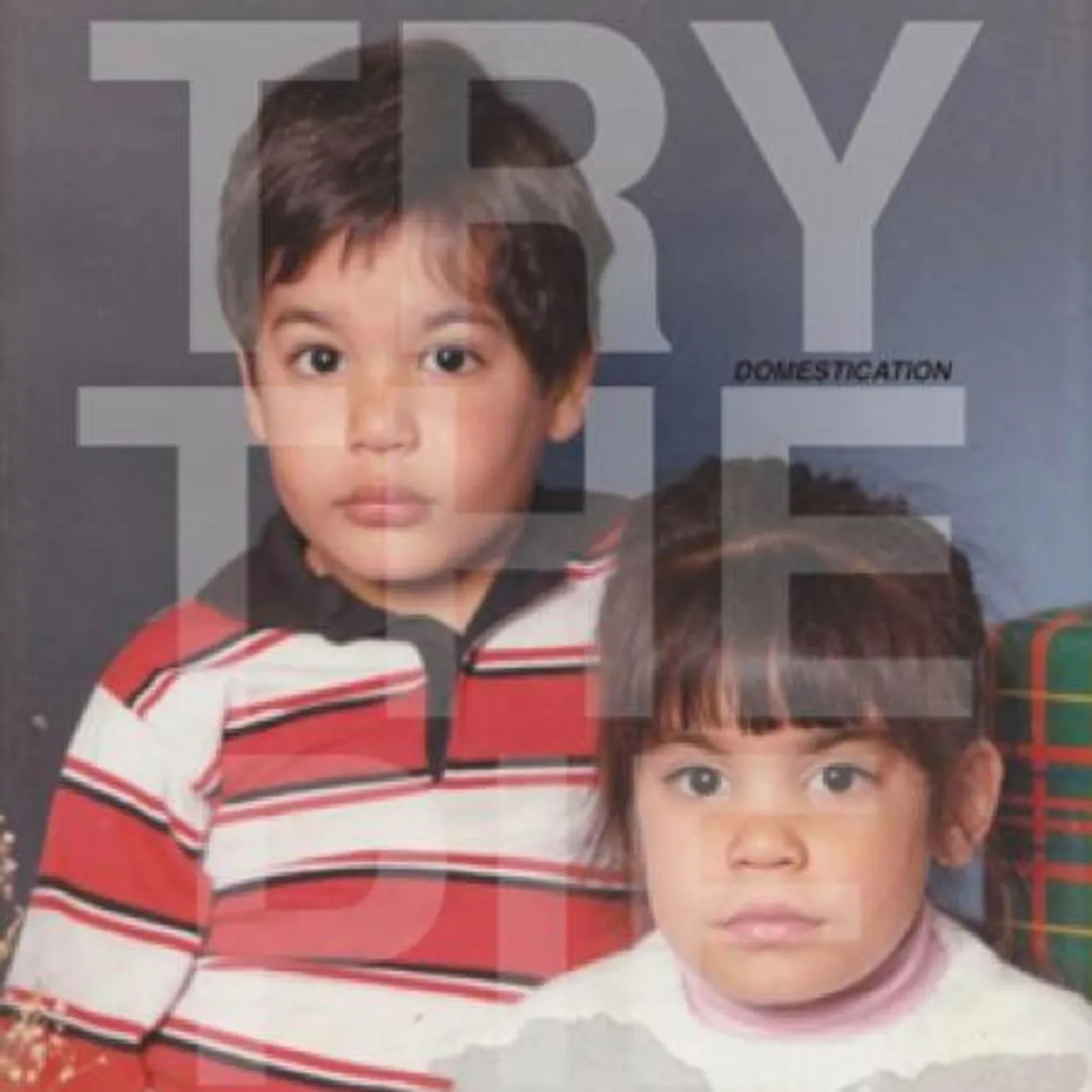 Try the Pie DOMESTICATION Vinyl Record
