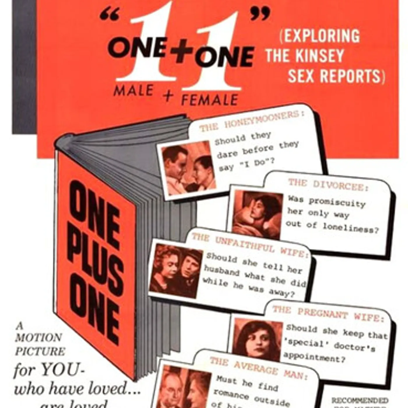 ONE PLUS ONE DVD
