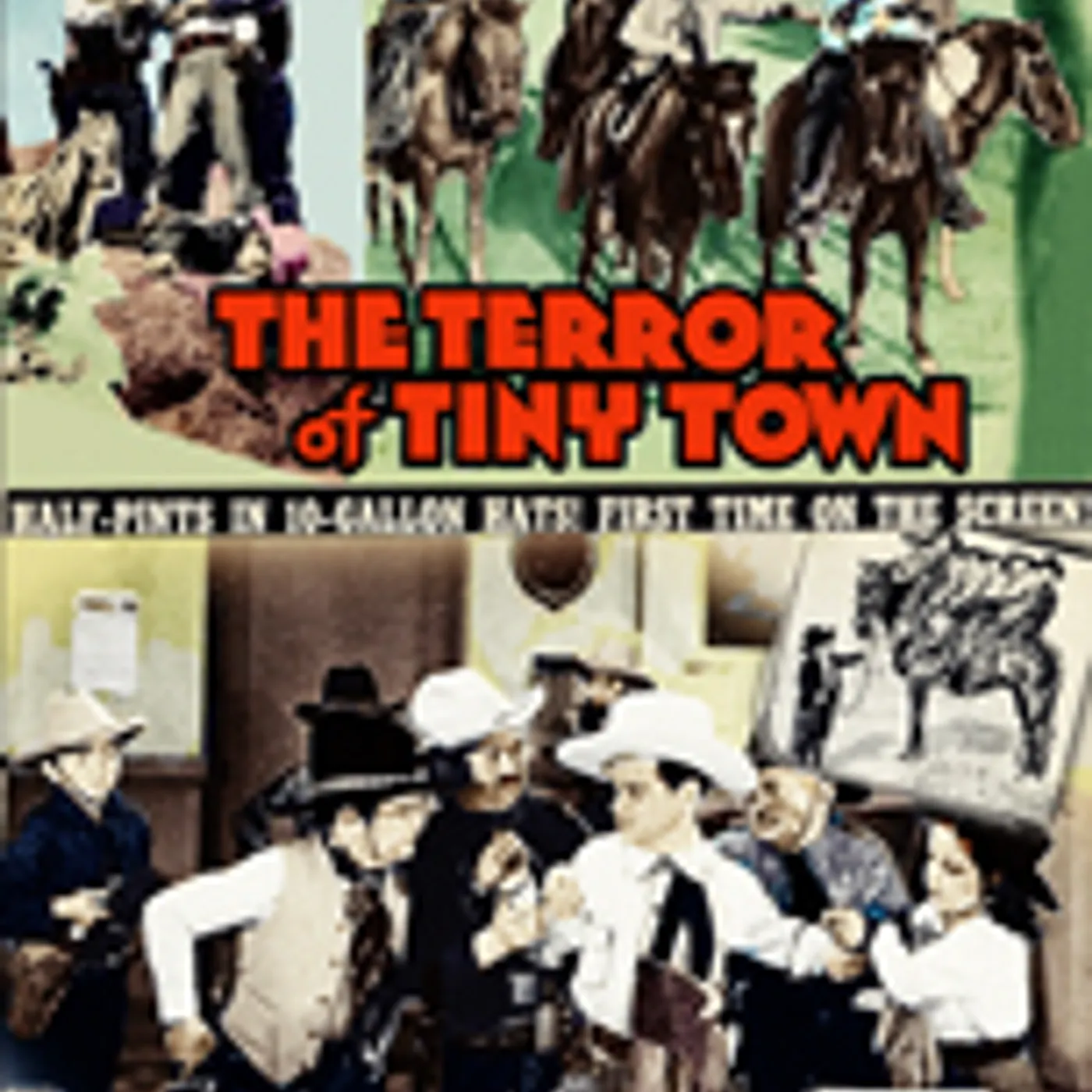 TERROR OF TINY TOWN DVD