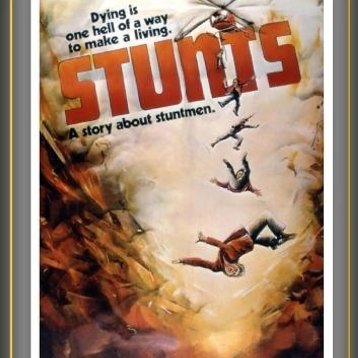 STUNTS DVD