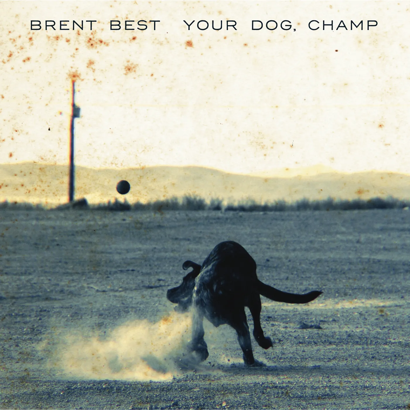 Brent Best YOUR DOG CHAMP Vinyl Record - Gatefold Sleeve