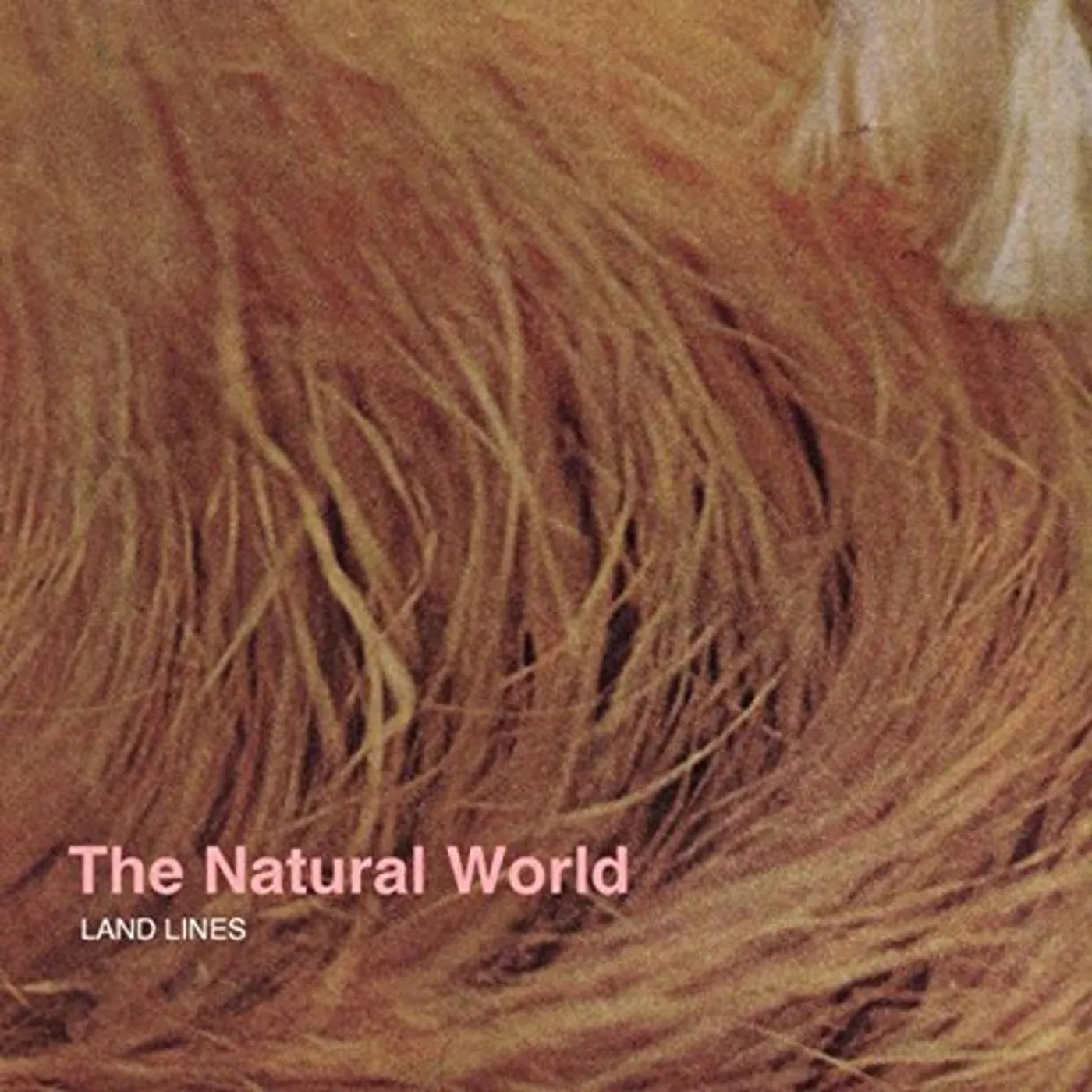 Land Lines NATURAL WORLD CD